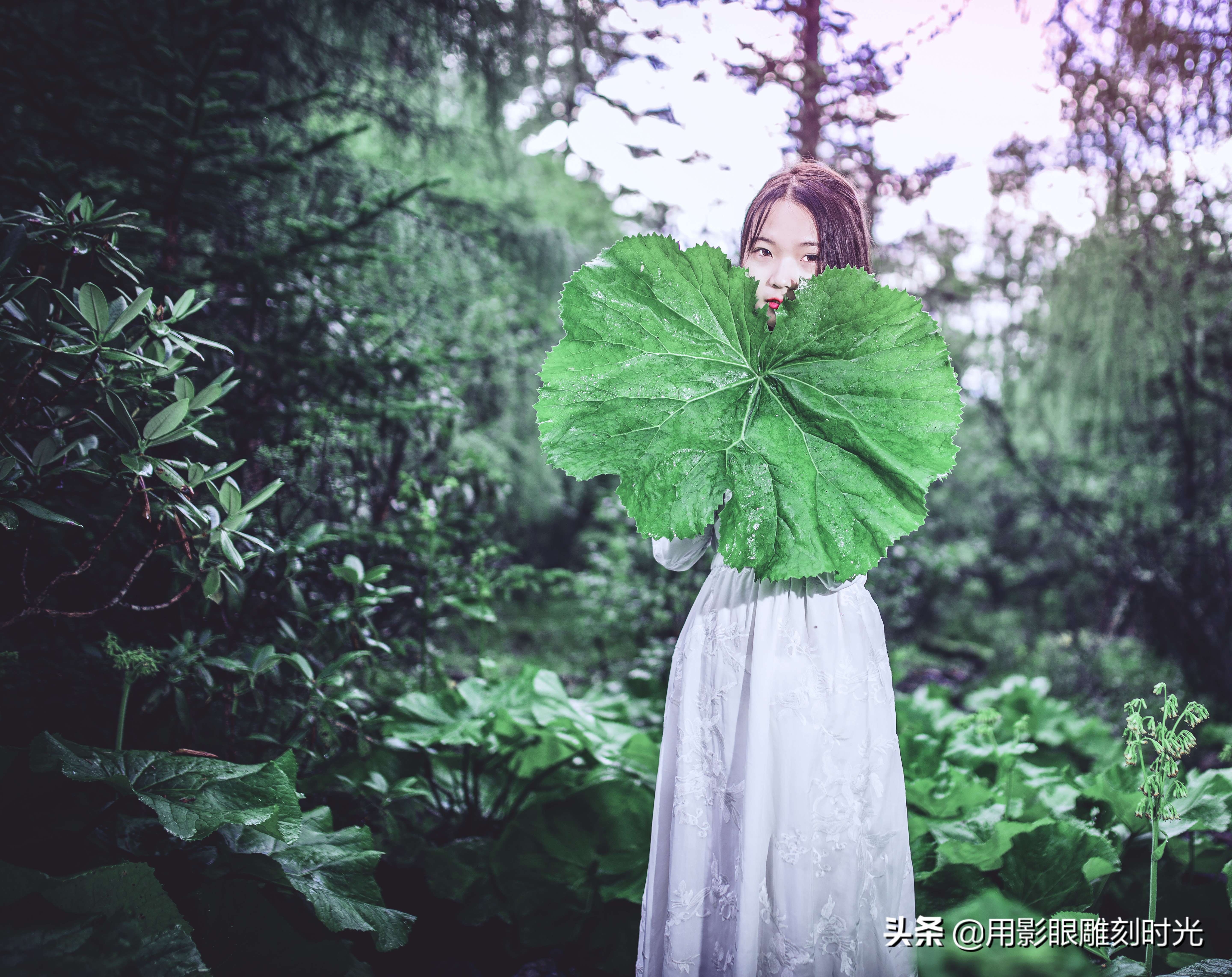 岁月带走了青春却惊艳了时光,惊艳青春斑驳岁月