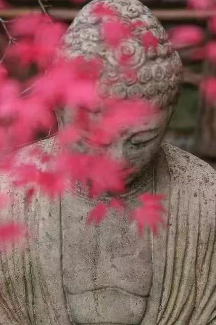 仲夏：在一本古籍中与明朝的云南县相遇