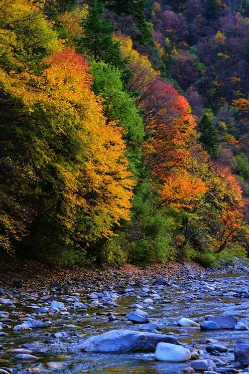 四川一条路途经全是石头的山,四川红叶一日游攻略