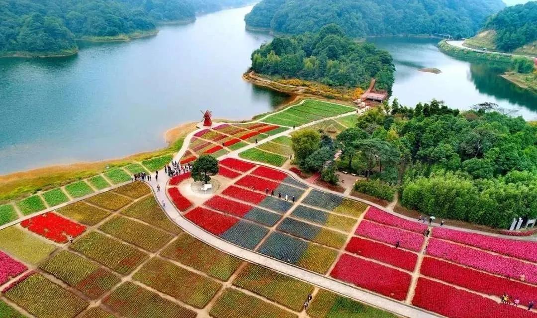 百佳诗意小城|@惠东人，快来为惠东打CALL!