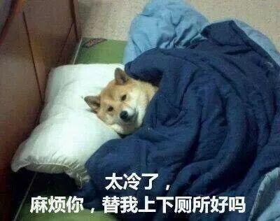 年纪轻轻“精致穷”？留学*党**们最有发言权···