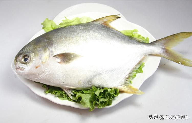 白鲳鱼青岛,青岛鲳鱼什么时间便宜