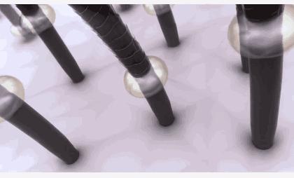 mojito澶忓ぉ绌挎惌,mojito澶忓娓呯埥