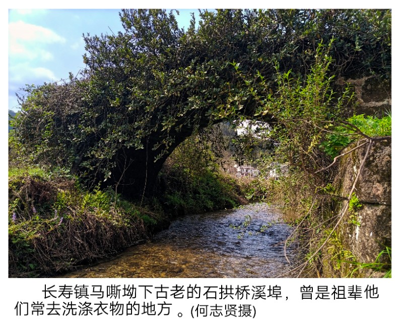 追忆我的祖父图片,追忆我的祖父