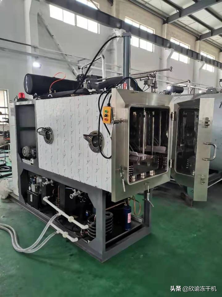 冻干机箱体内部结构,冻干机板层运作原理