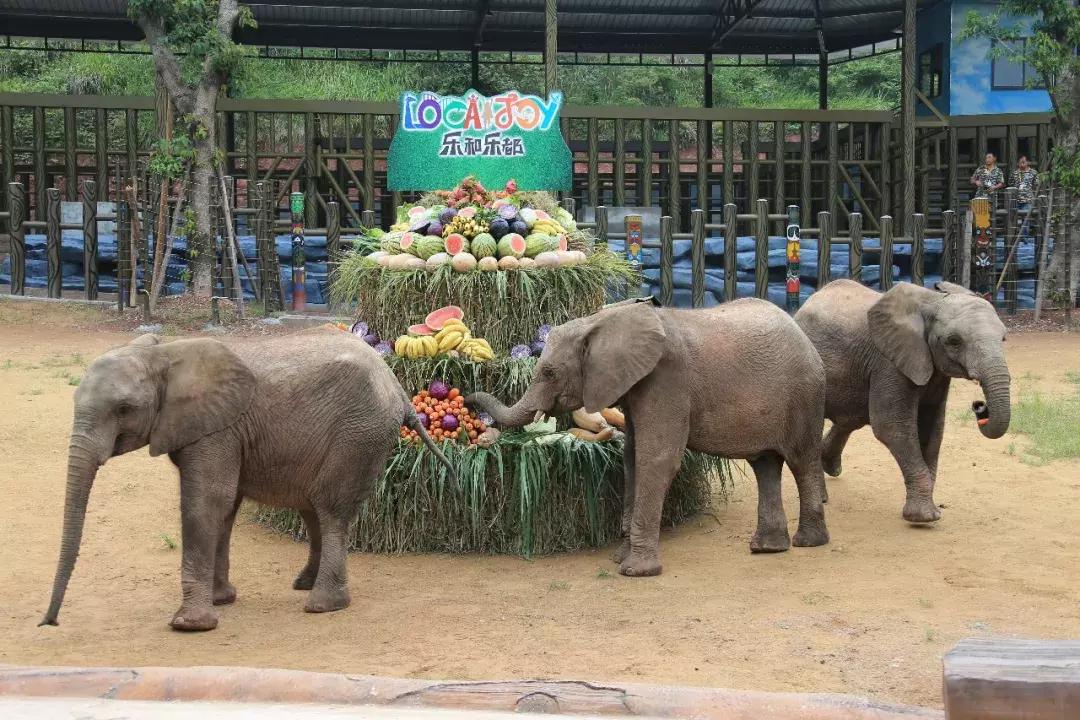 如果有人用水枪来泼我们怎么办呢,如果有人故意用水泼你你该怎么办