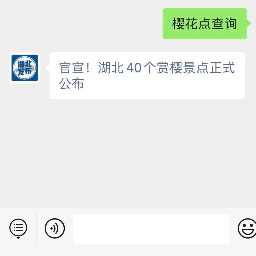 武汉历史上的十景,武汉官宣片