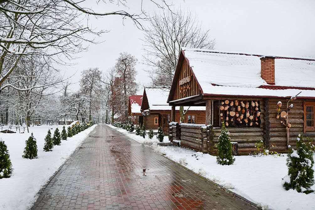 绿色爱丽小屋,爱丽小屋瑜伽