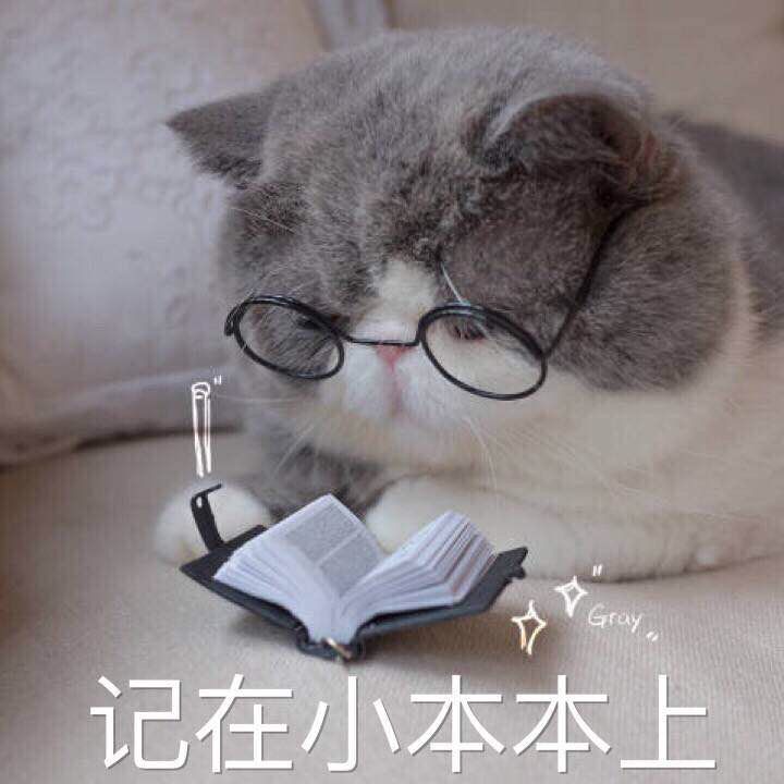 根治猫咪癣的特效药,治疗猫咪猫癣的中药方子