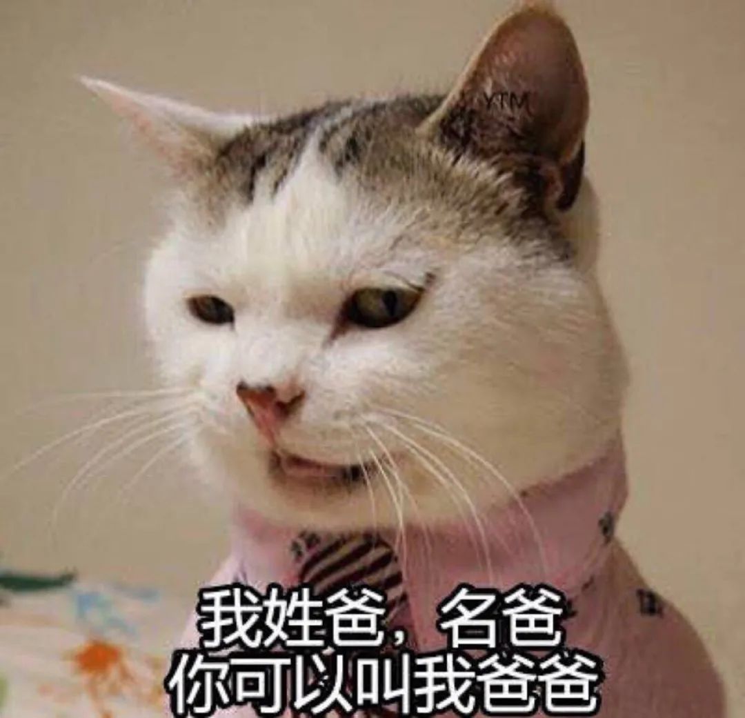 李承铉戚薇教英文,李承铉和李昱珩英文对话