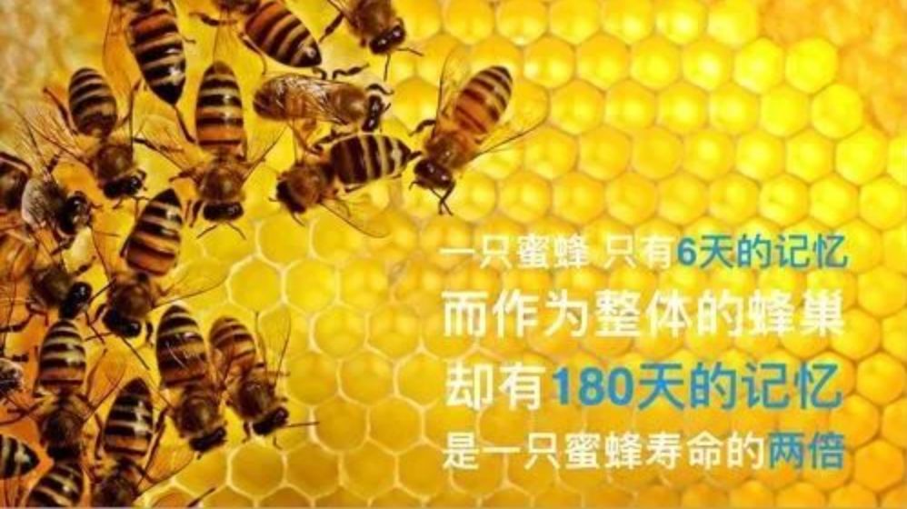 姹介厤骞冲彴铻嶈祫,姹介厤甯傚満铻嶈祫鐜扮姸