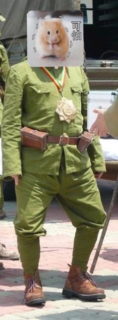 露腿怎么做才能美腿,谁不想拥有一个苗条的身材