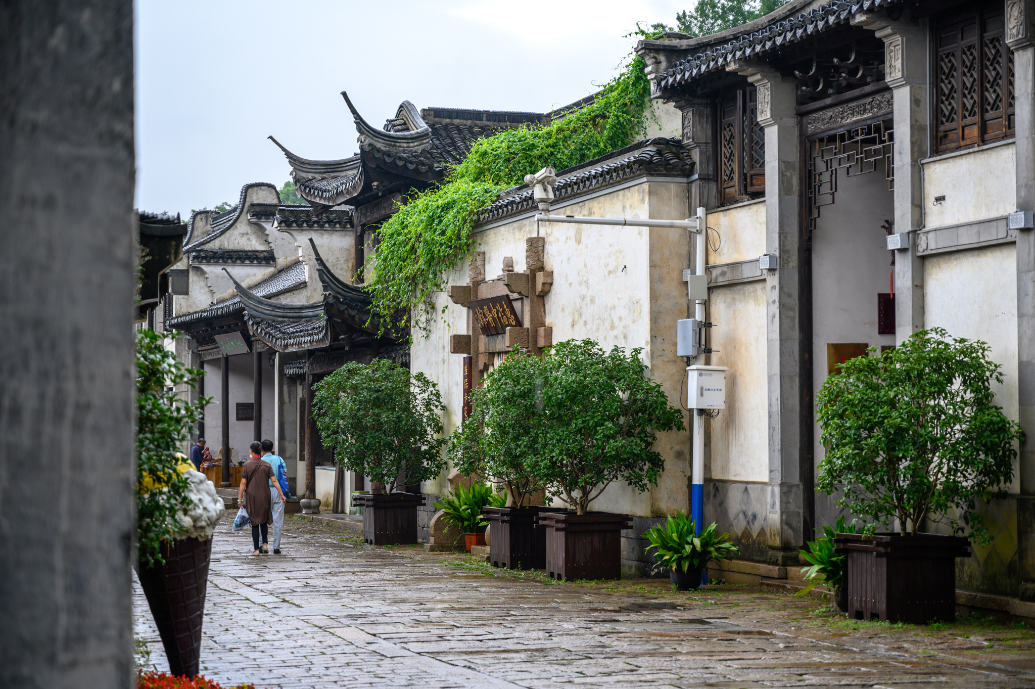 无锡人真的那么爱吃甜食,无锡人非常喜欢吃甜的吗