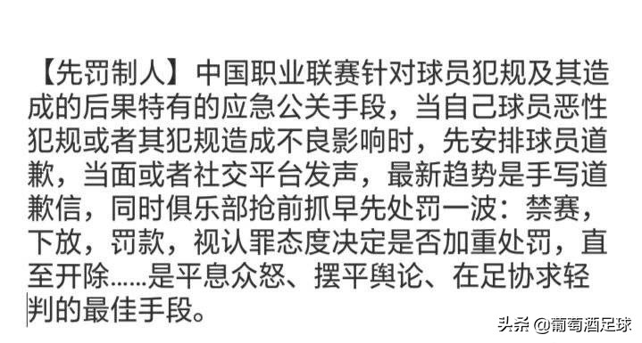 中国足协怎么处罚中国男足,中国足协犯规处罚
