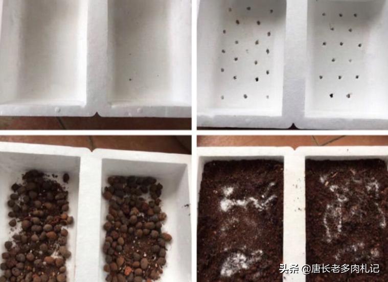 如何用泡沫箱养多肉,泡沫箱种多肉下面需要打洞吗