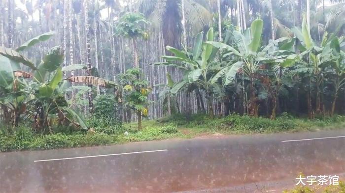 2021年印度下血雨是真的吗,印度下血雨预示什么