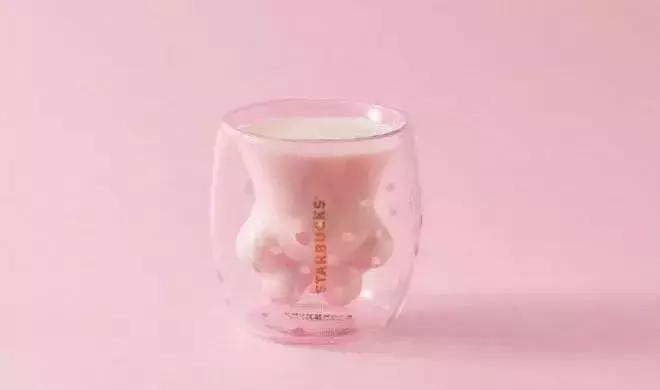抢星巴克猫咪杯,为了猫爪杯打架