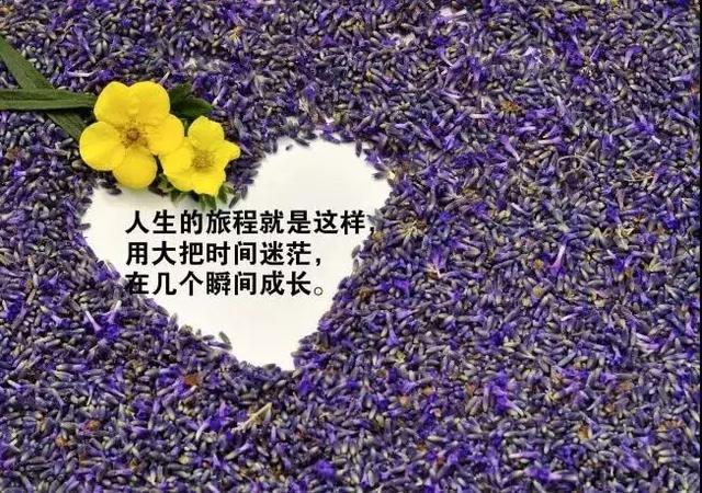 经典语录短句社会现实图片,社会经典语录短句霸气感悟人生