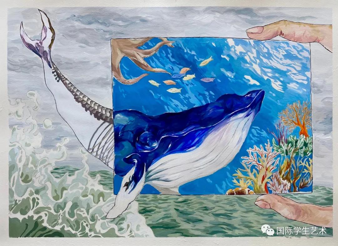 2050美国科技大赛,美国科学无国界挑战赛