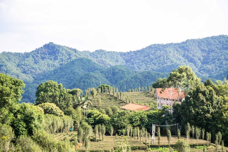 中国足球旅游胜地,足球旅游胜地上海
