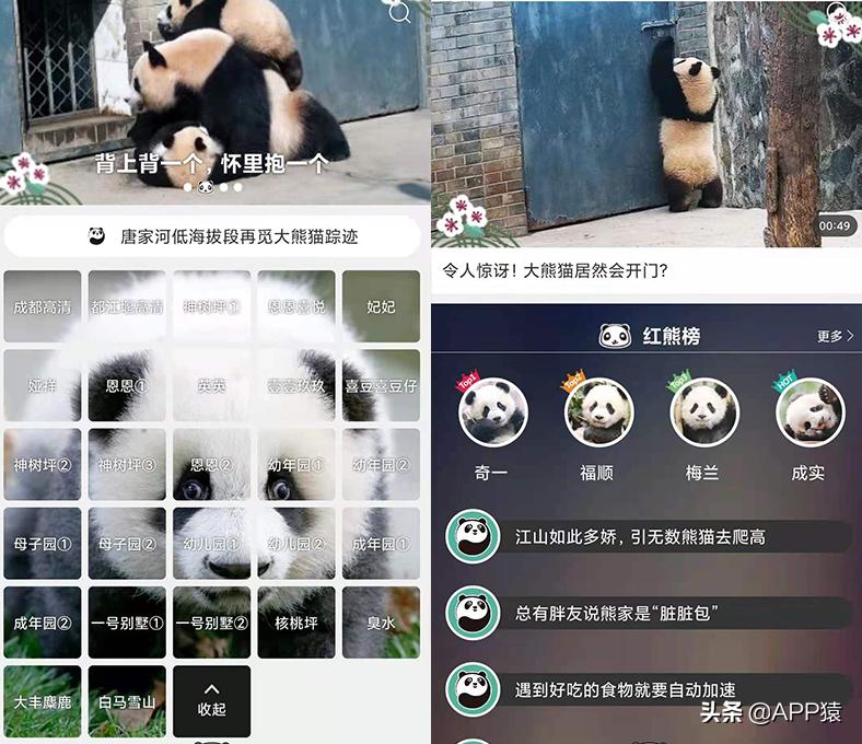 6个值得推荐的高质量app,6个免费且超实用的软件