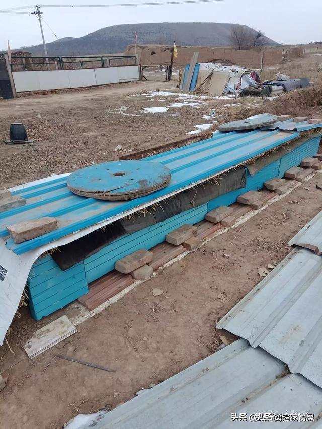 低温繁蜂,繁蜂期遇连续低温怎么办