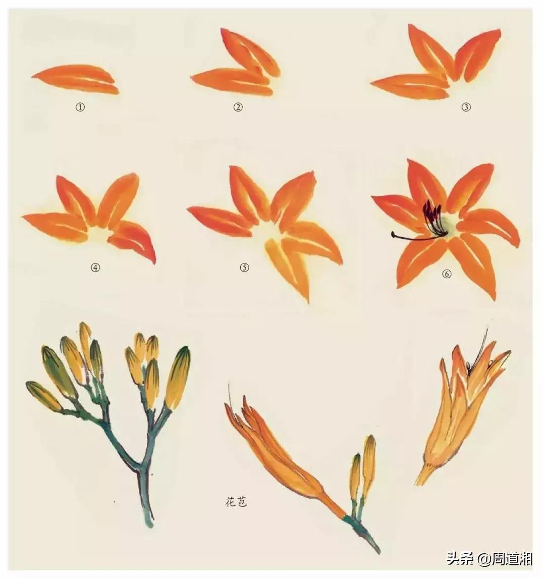 国画花卉大全教程视频,花卉小品国画图片大全