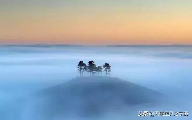 渡人如渡己渡己亦渡人是什么意思,渡人先渡己渡己先渡心
