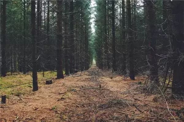 肺癌治疗指南2023文档下载,肺癌指南2023年版下载