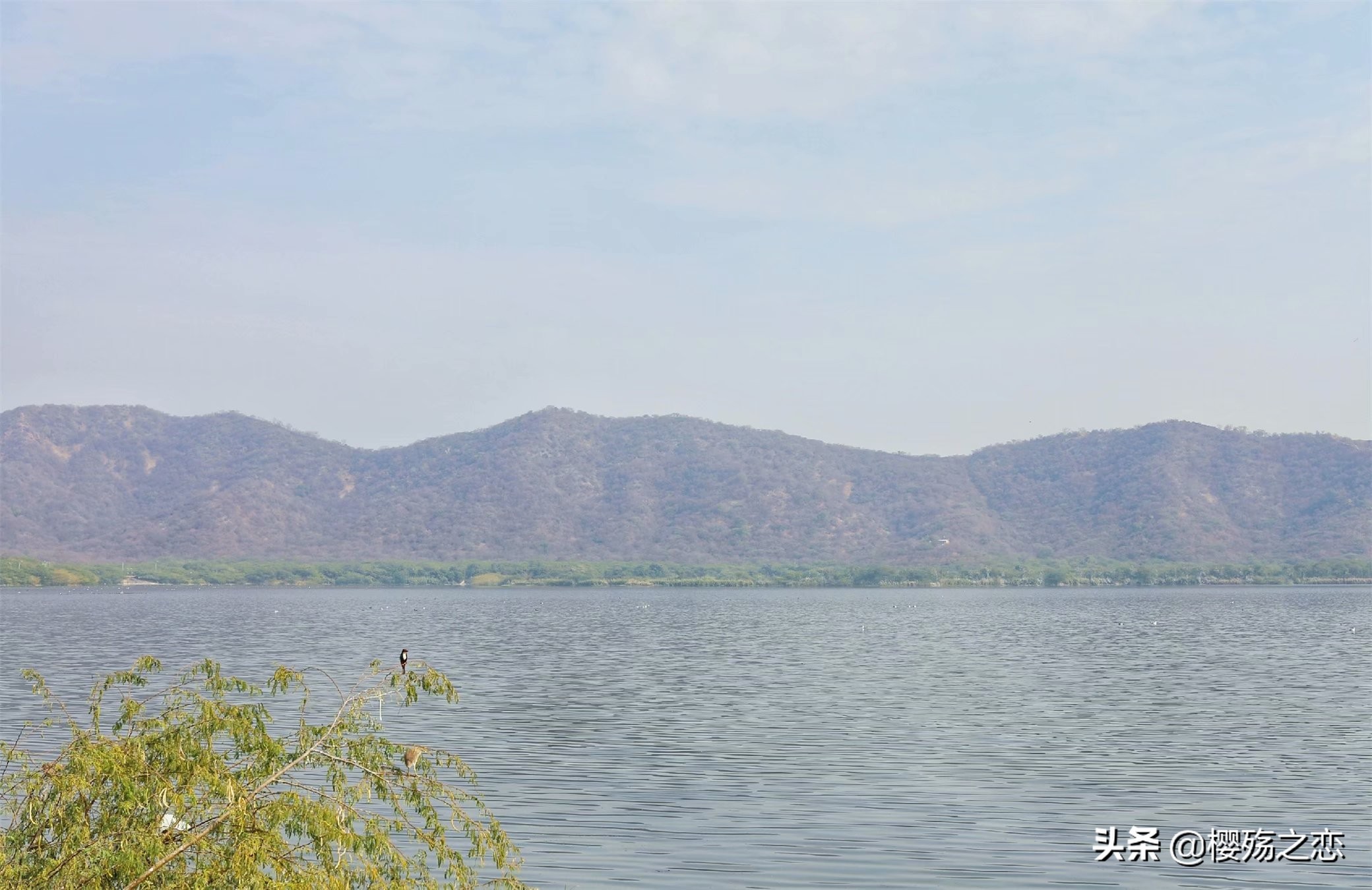 印度三大豪华宫殿,印度最神秘的寺院