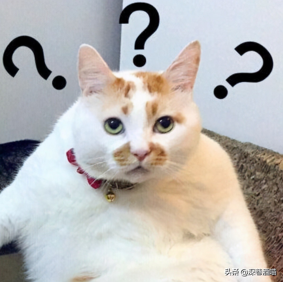 鍘荤埅鎵嬫湳瀵圭尗鏈夊澶х殑浼ゅ,妫夌澶ф硶鍚庡彲浠ョ粷鑲插悧