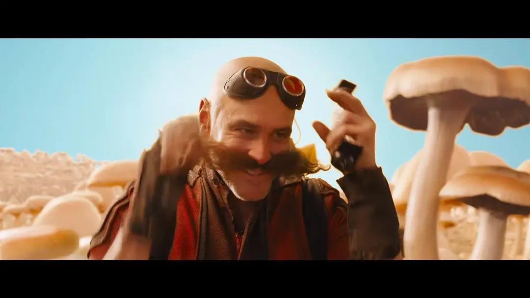 可爱刺猬索尼克,刺猬索尼克原本样子