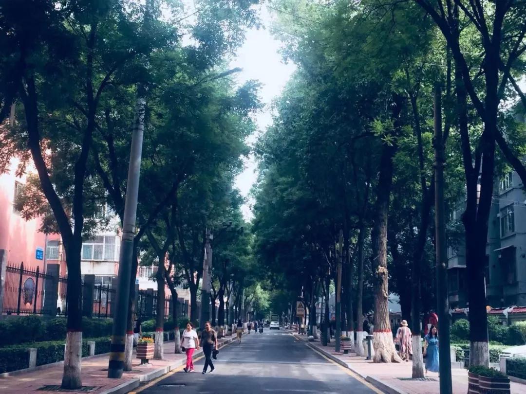 太原市最美道路,太原老街巷的风景