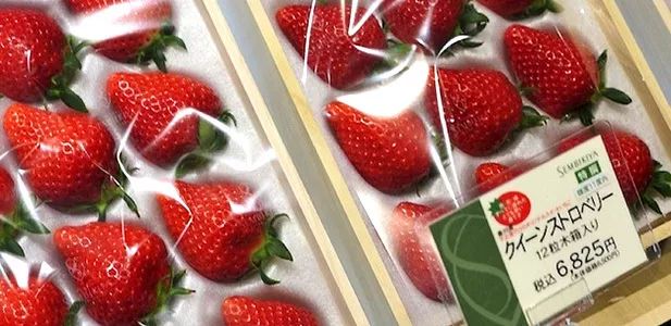 日本又便宜又实惠的好物,日本哪些东西最值得入手