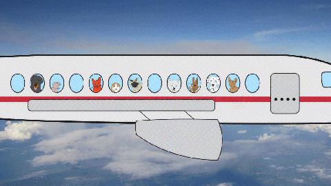 2019全球最佳航空公司前十强,2022世界十佳航空公司