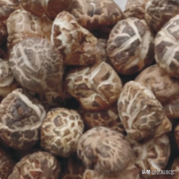 湖北标志性农产品,全国农产品地理标志目录四川