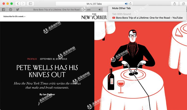 safari浏览器支持windows系统吗,safari浏览器插件mac
