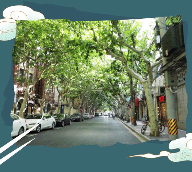 生日当天上海免费景点,上海网红打卡地点景点免费