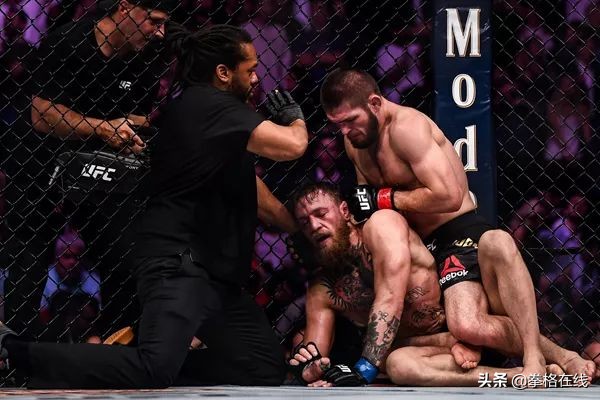 怎么让笼子成为猫家,mma比赛必杀技