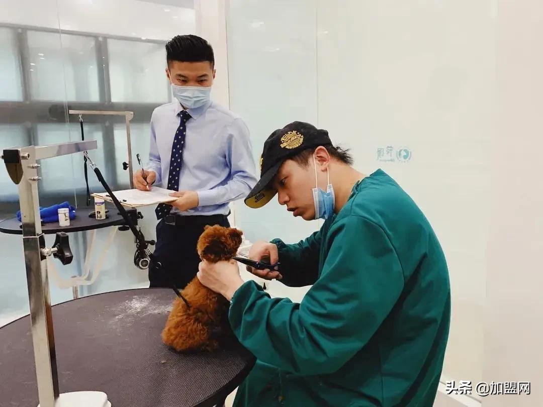 精品加盟店最火爆的项目,开一家精品店创业项目