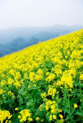 只因为在人群中多看了你一眼歌名,只因为在人群中多看了你一眼