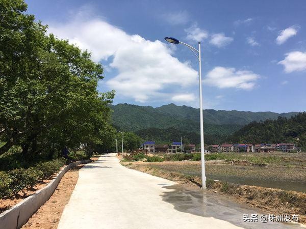 湖南第二批森林乡村名单,第二批国家森林乡村