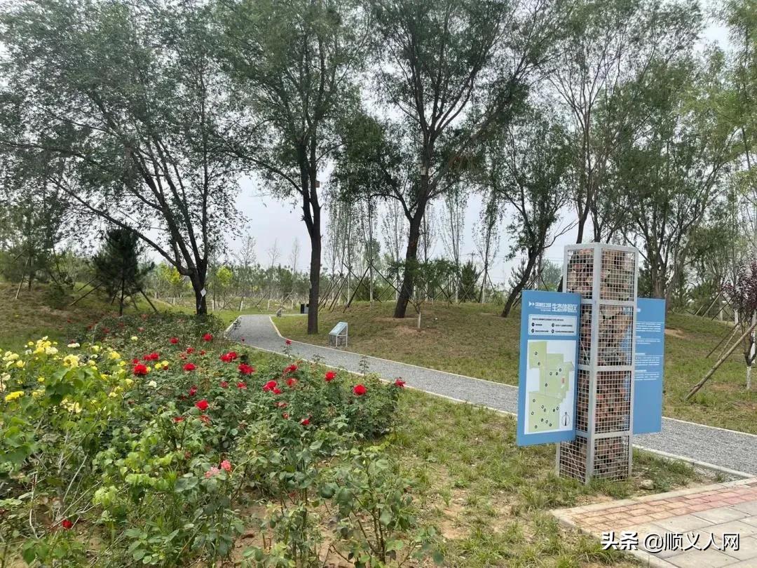 顺义体育公园,顺义新开的公园在哪