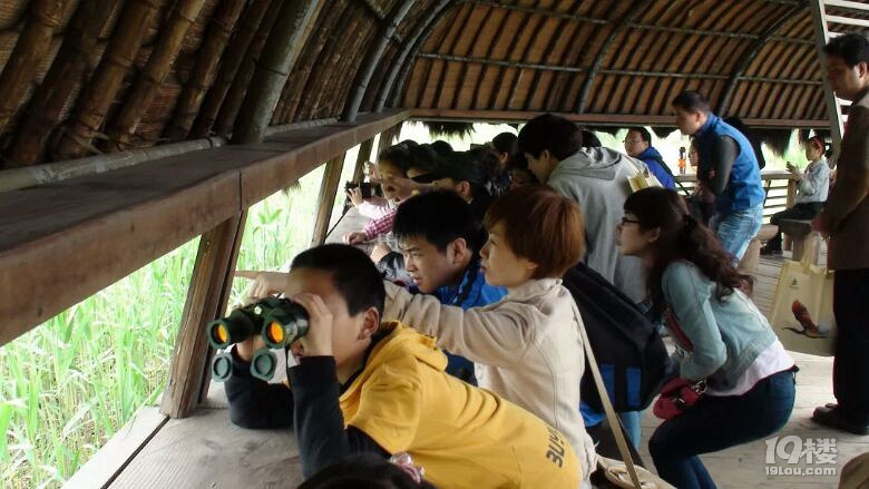 西溪湿地公园免费区域几点开门,西溪湿地免费区域攻略