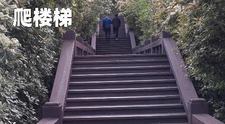 新型冠状病毒肺炎容易劳累、乏力？物理治疗帮助康复回归生活