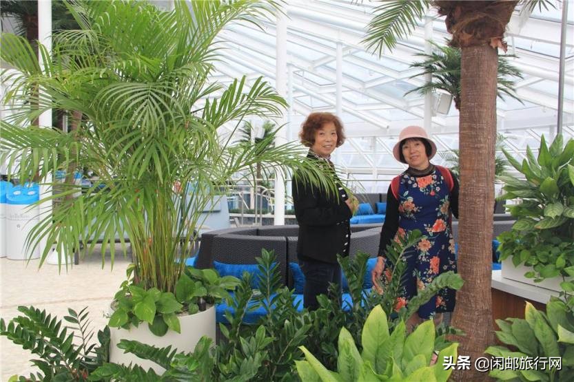 海洋光谱号自由行,海洋光谱号体验之旅