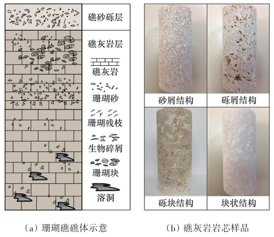 珊瑚石灰岩的构造类型,珊瑚灰岩的特征