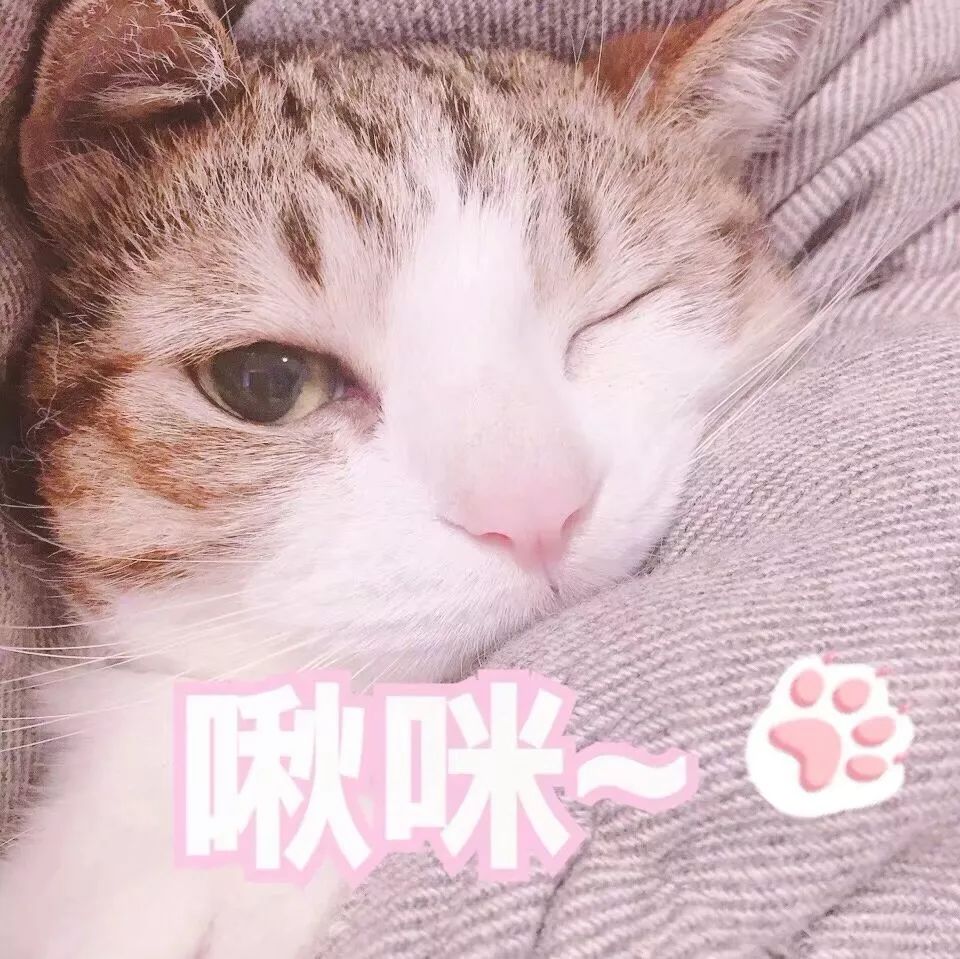 2020年广州哪些博物馆免费开放,广州铁路博物馆今年恢复开放时间