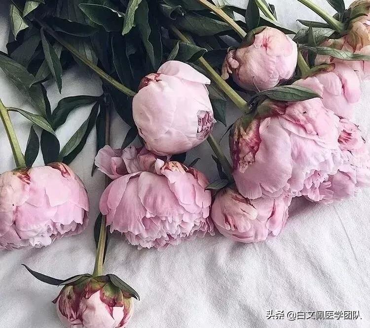 子宫腺肌症并多发性子宫肌瘤,多发性子宫肌瘤伴有子宫腺肌症