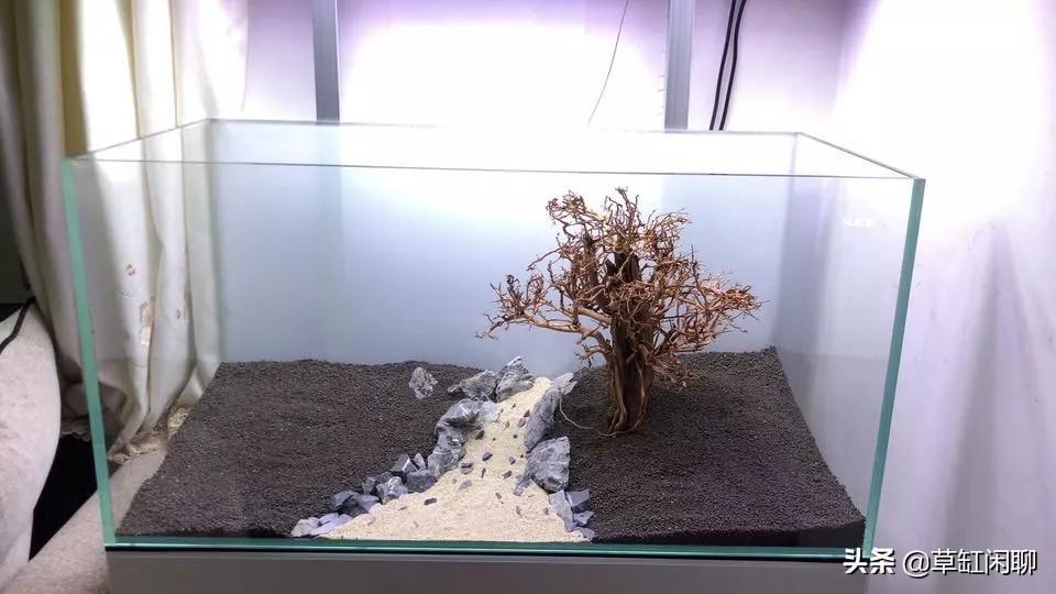 草缸造景新手入门,造景为什么一定要沉木或者杜鹃根